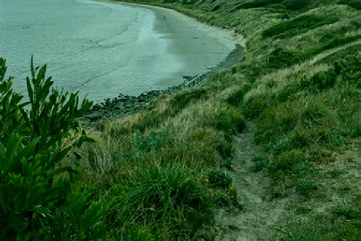 Escorts Primrose Sands, Australia — Local Companions