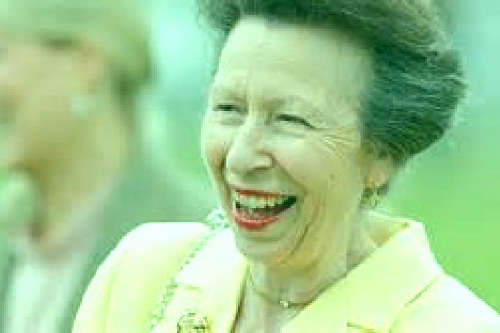 Escorts Princess Anne, United States — Local Companions