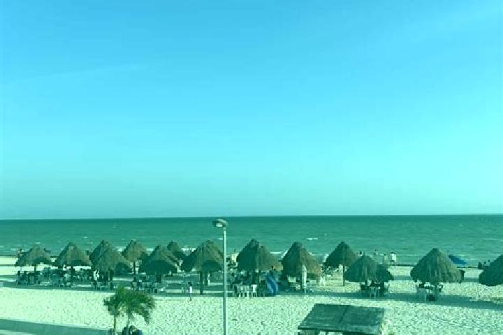 Escorts Progreso Bajo, Peru — Local Companions