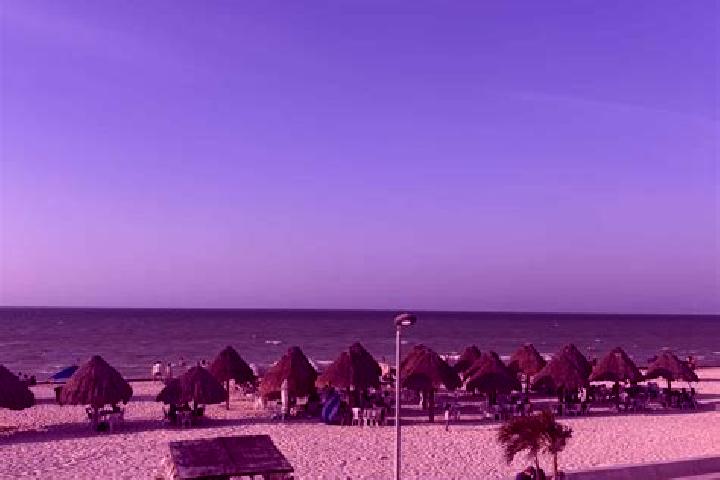 Escorts Progreso, Mexico — Local Companions