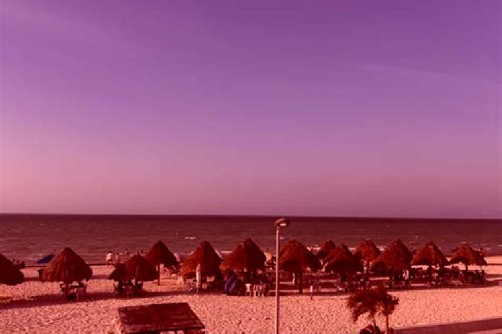 Escorts Progreso, Peru — Local Companions