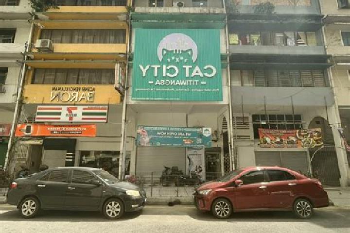 Escorts Proton City, Malaysia — Local Companions