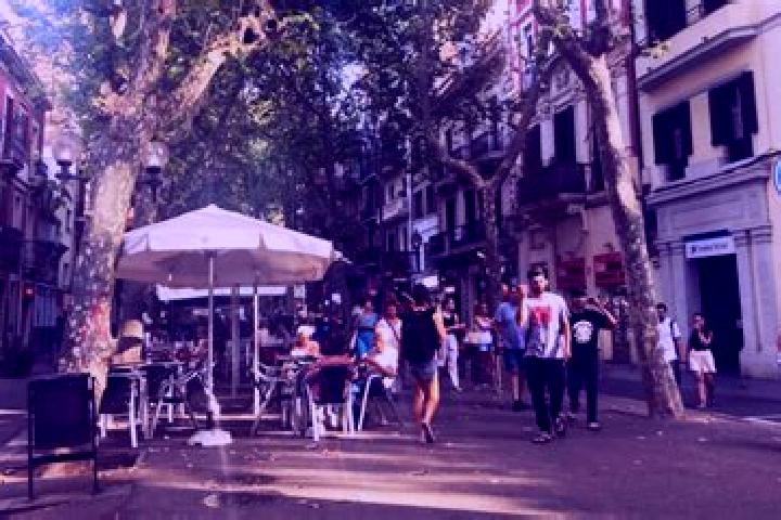 Escorts Provenals del Poblenou, Spain — Local Companions
