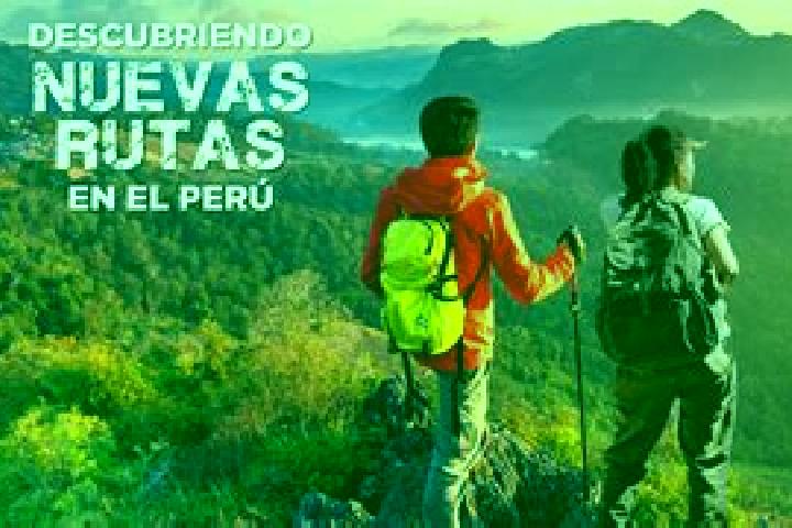 Escorts Puca Cruz, Peru — Local Companions
