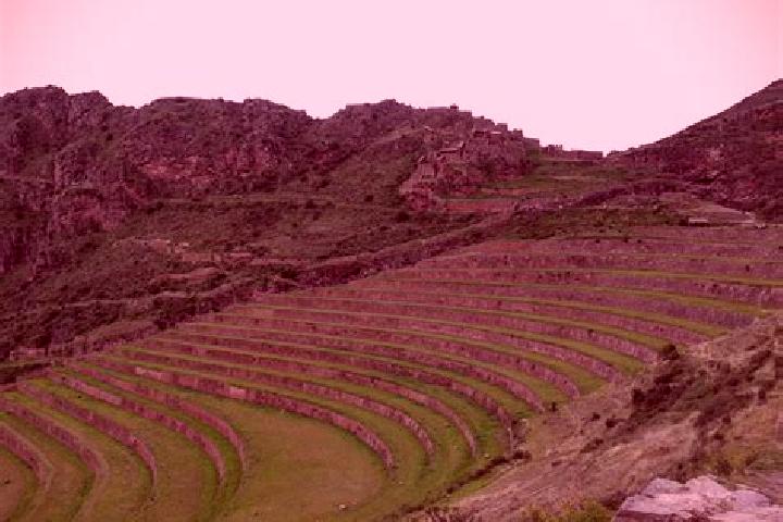 Escorts Pucara, Peru — Local Companions