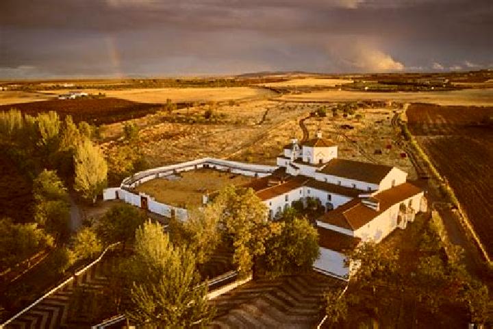 Escorts Puebla de Sancho Perez, Spain — Local Companions