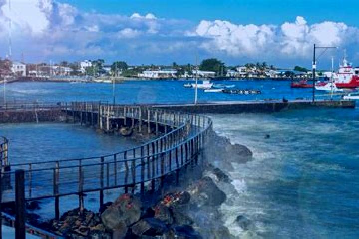 Escorts Puerto Baquerizo Moreno, Ecuador — Local Companions