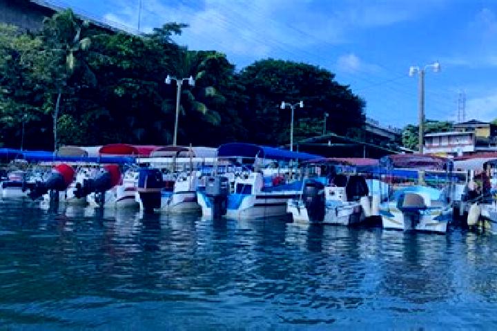Escorts Puerto Barrios, Guatemala — Local Companions