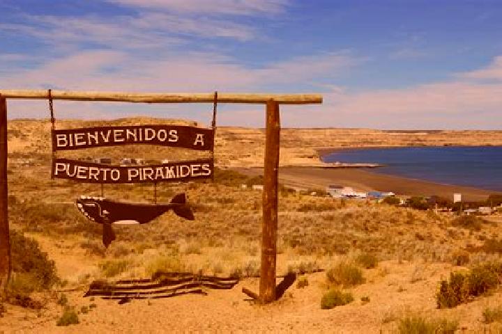 Escorts Puerto Piramides, Argentina — Local Companions