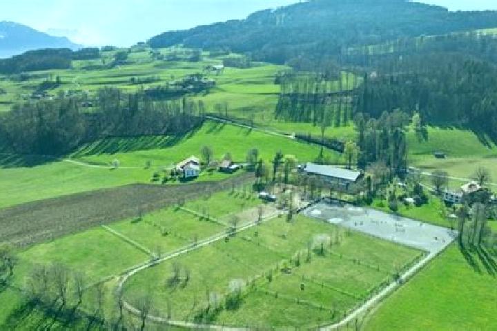 Escorts Puidoux, Switzerland — Local Companions