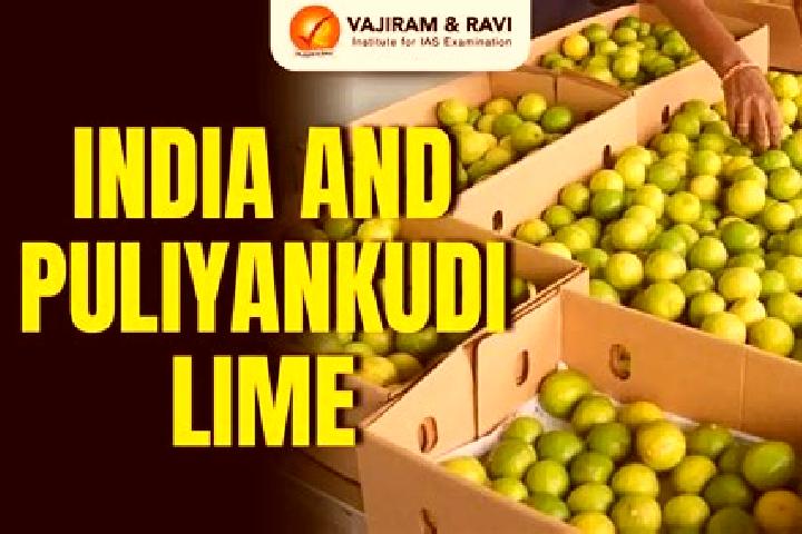 Escorts Puliyankudi, India — Local Companions