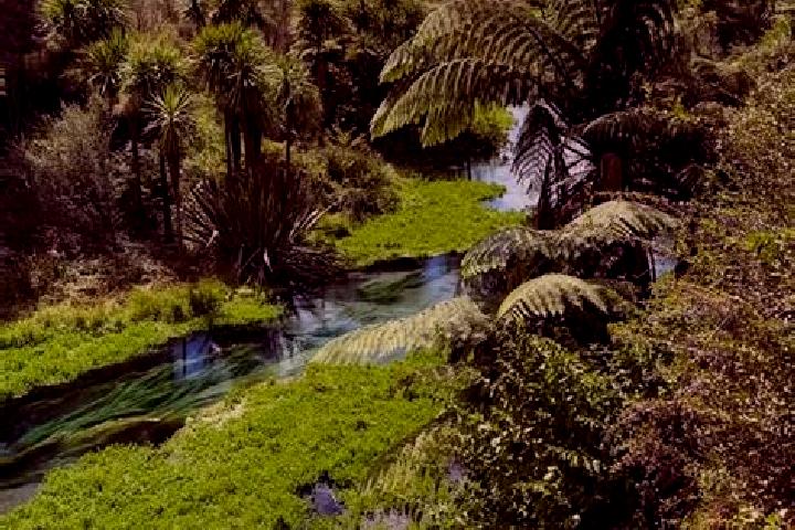 Escorts Putaruru, New Zealand — Local Companions