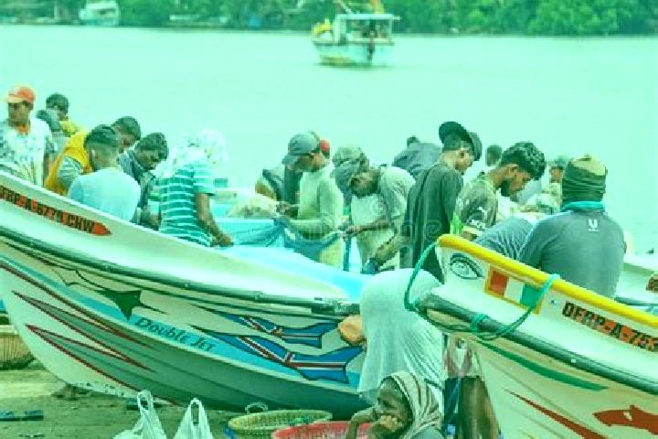 Escorts Puttalam, India — Local Companions