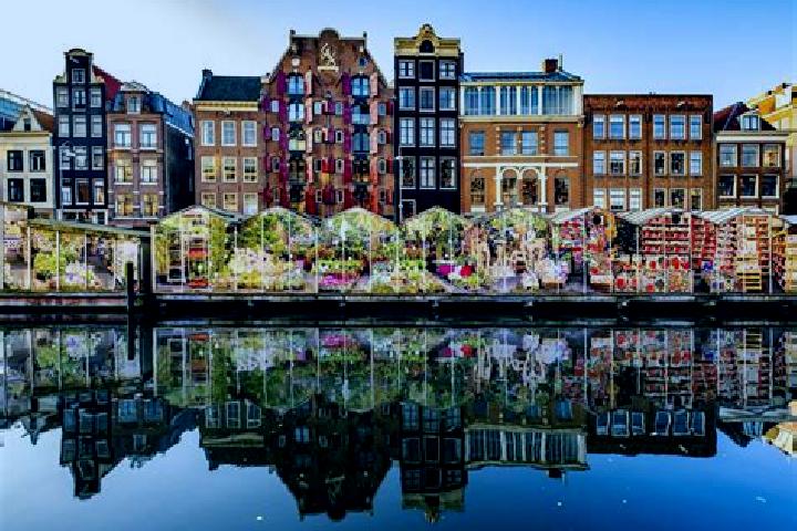 Escorts Putte, Netherlands — Local Companions
