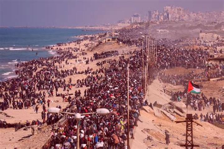 Escorts Qalandiya, Palestine — Local Companions