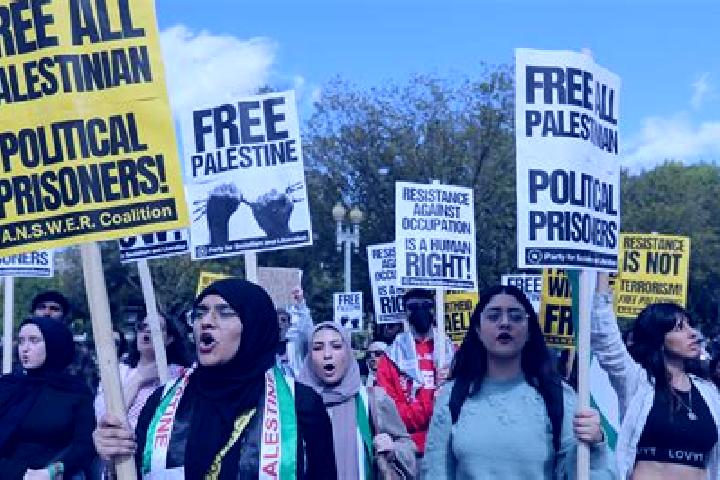 Escorts Qalqas, Palestine — Local Companions