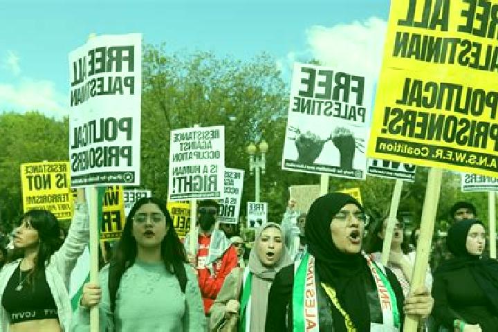Escorts Qedumim, Palestine — Local Companions