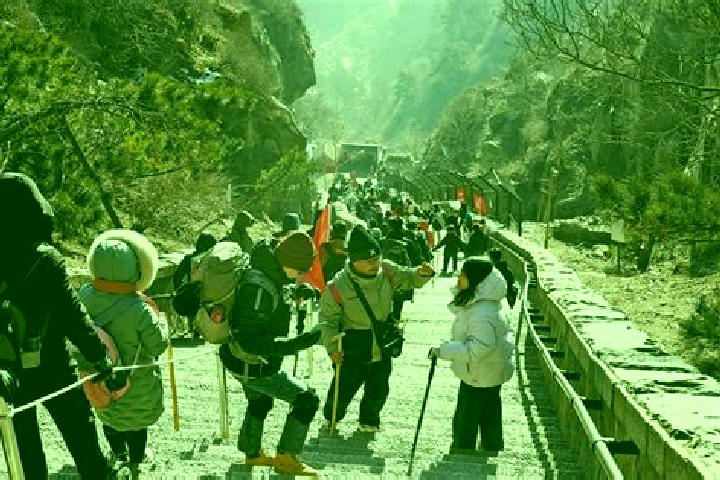 Escorts Qingshan, China — Local Companions