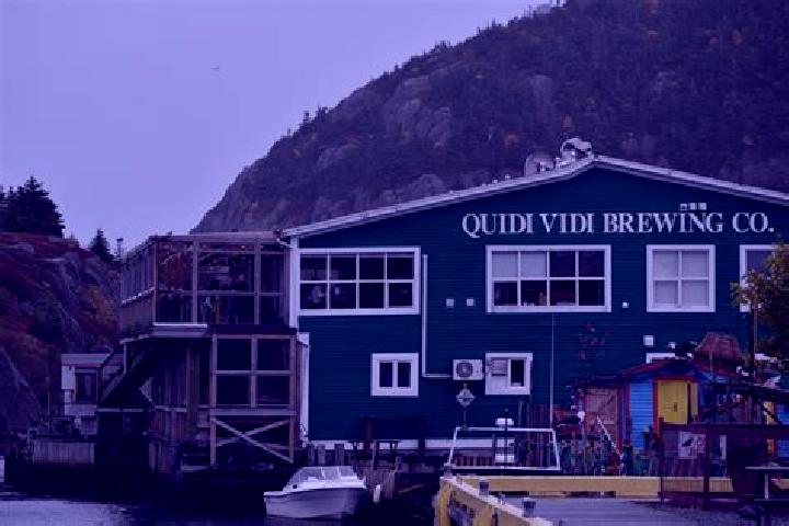 Escorts Quidi Vidi, Canada — Local Companions