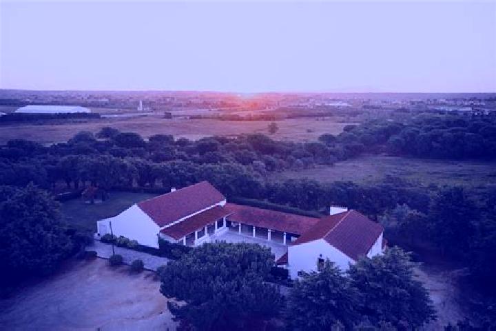 Escorts Quinta do Anjo, Portugal — Local Companions