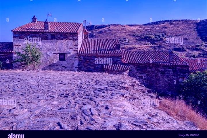 Escorts Quintanilla de Arriba, Spain — Local Companions