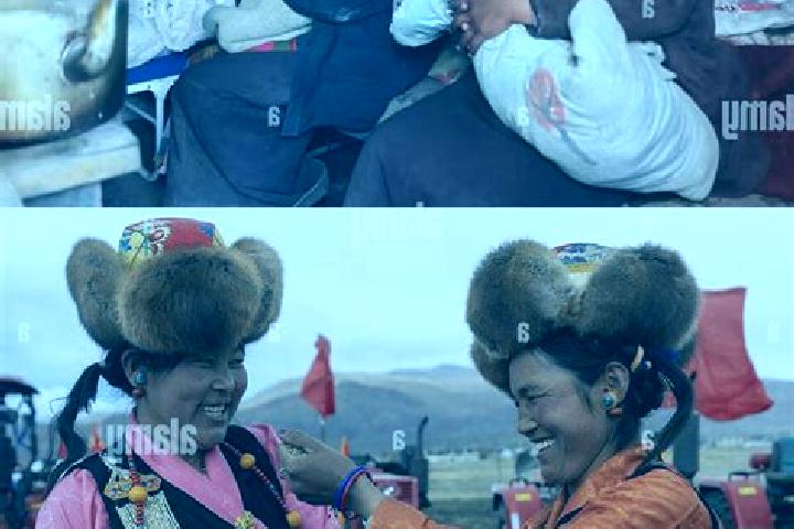 Escorts Quxar, China — Local Companions
