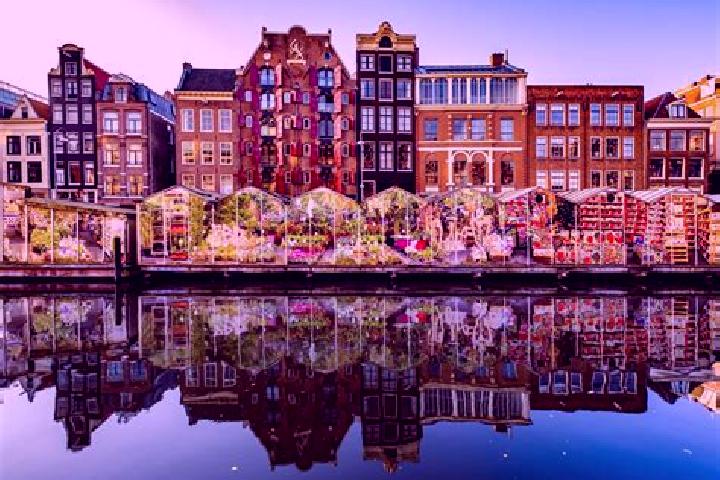 Escorts Raalte, Netherlands — Local Companions