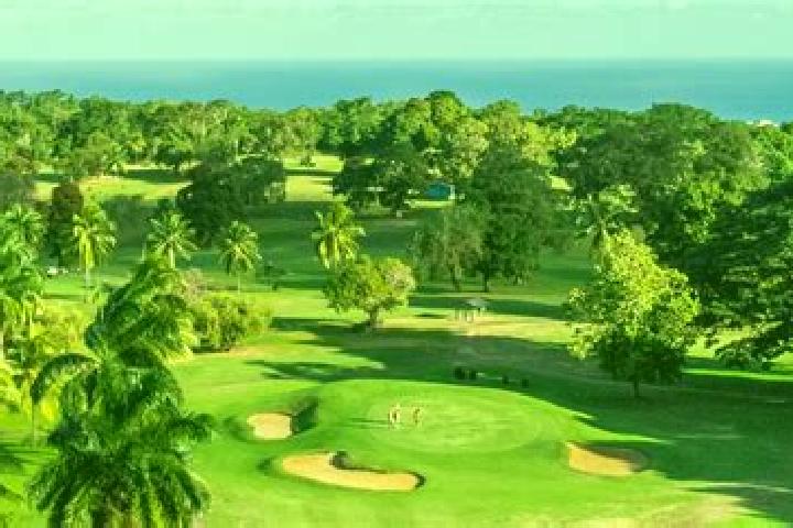 Escorts Race Course, Jamaica — Local Companions