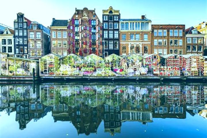 Escorts Radewijk, Netherlands — Local Companions
