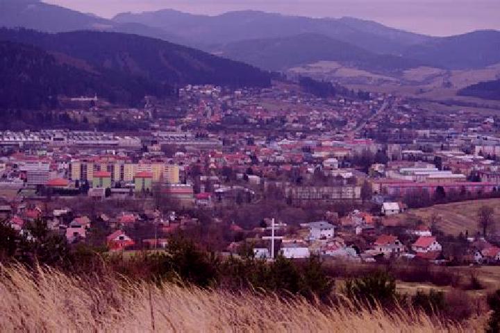 Escorts Radola, Slovakia — Local Companions