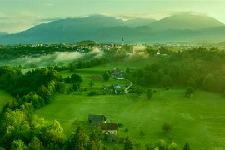 Escorts Radovljica, Slovenia — Local Companions