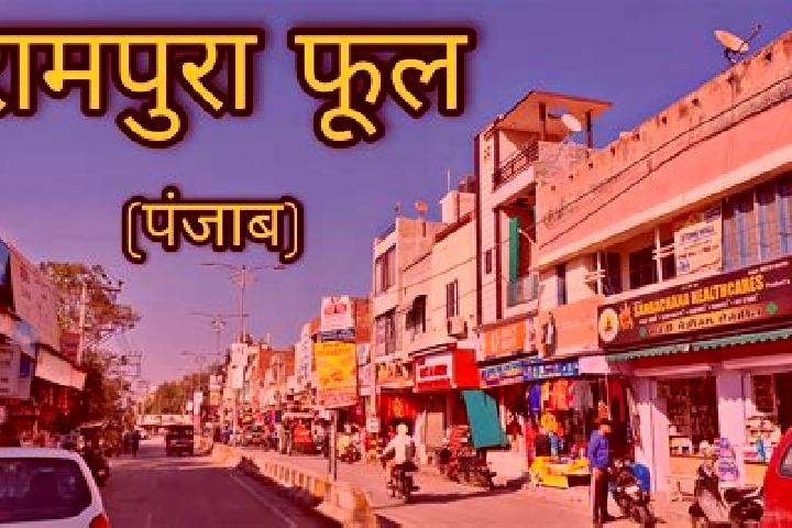 Escorts Rampura, India — Local Companions