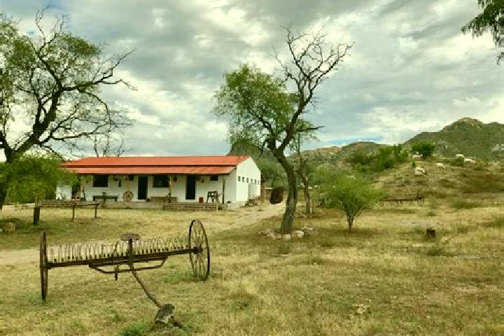 Escorts Rancho de Guadalupe, Mexico — Local Companions