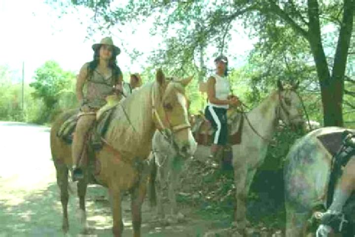 Escorts Rancho de Santiago, Mexico — Local Companions