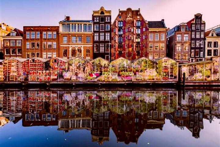 Escorts Randwijk, Netherlands — Local Companions