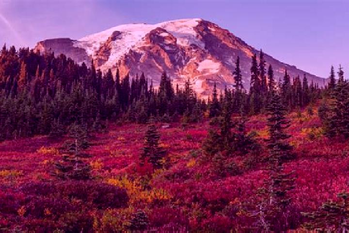 Escorts Ranier, United States — Local Companions