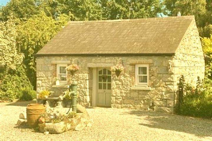 Escorts Rathvilly, Ireland — Local Companions