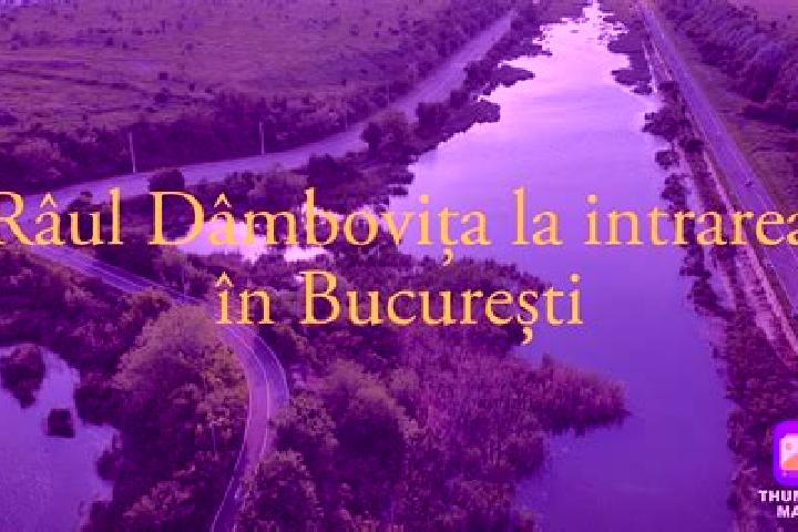 Escorts Rau Alb de Sus, Romania — Local Companions