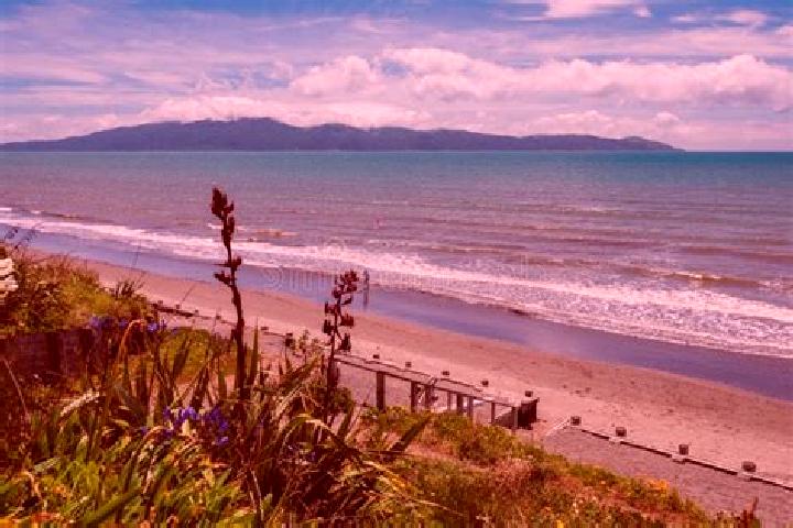 Escorts Raumati Beach, New Zealand — Local Companions