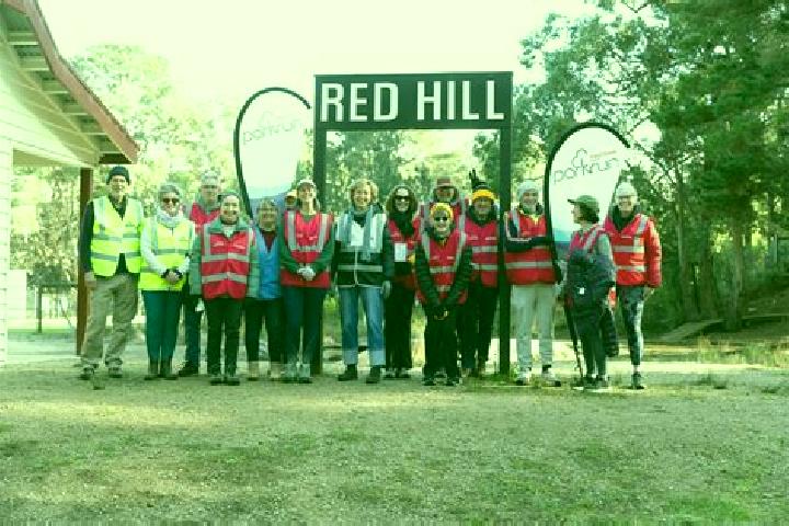 Escorts Red Hill South, Australia — Local Companions