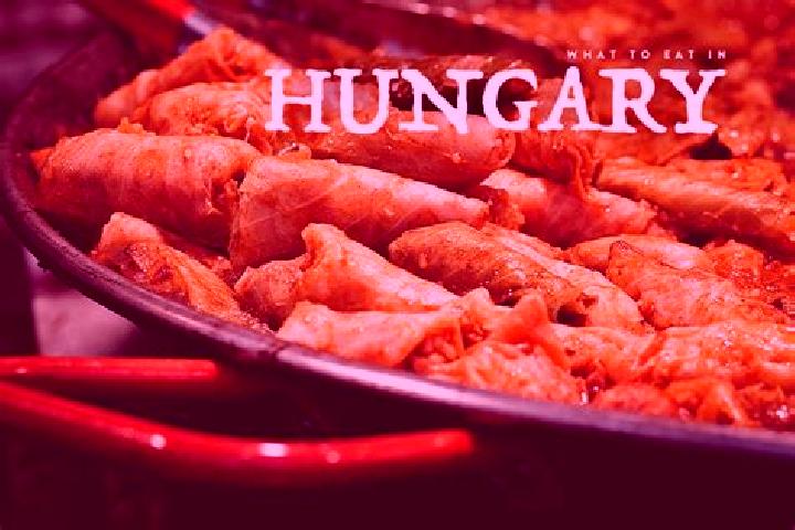 Escorts Regiakademiatelep, Hungary — Local Companions