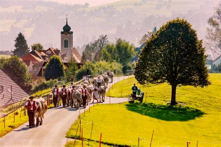 Escorts Rehetobel, Switzerland — Local Companions