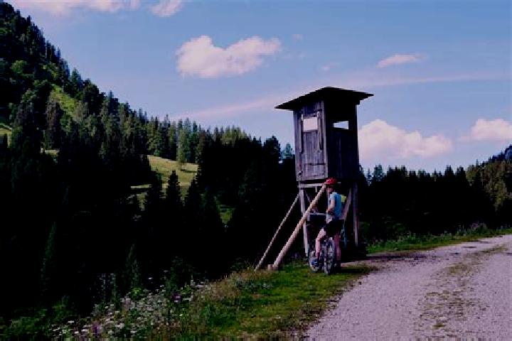 Escorts Reichraming, Austria — Local Companions