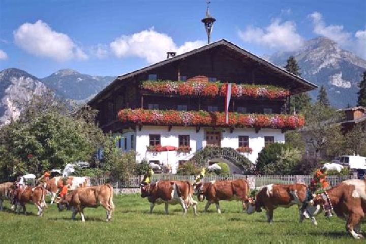 Escorts Reith im Alpbachtal, Austria — Local Companions