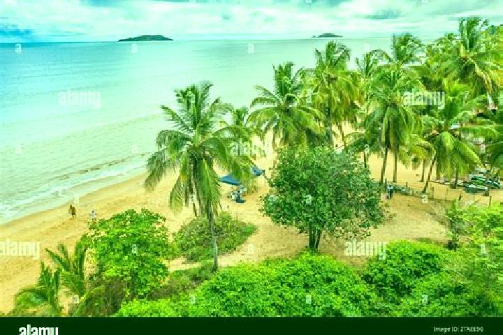 Escorts Remire, French Guiana — Local Companions