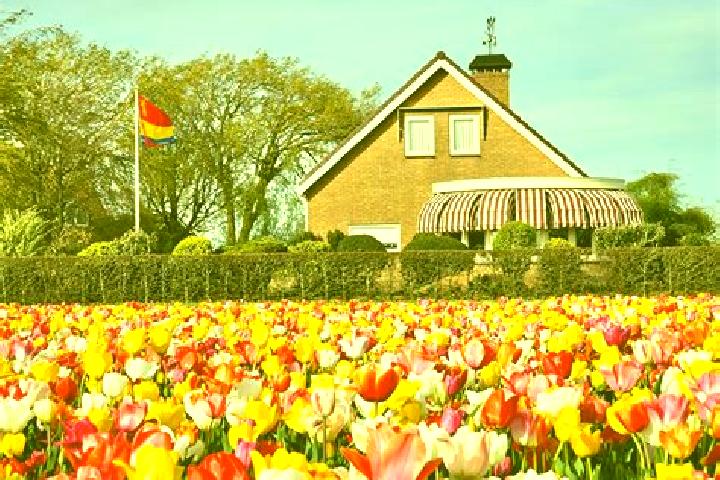 Escorts Renkum, Netherlands — Local Companions