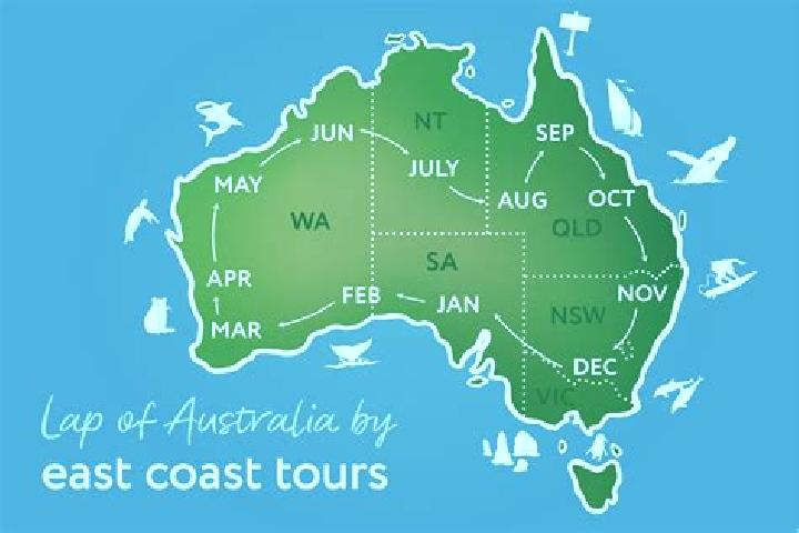 Escorts Reynella, Australia — Local Companions