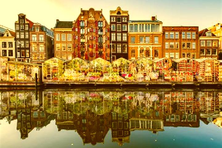 Escorts Rhenoy, Netherlands — Local Companions