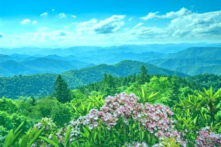 Escorts Ridge Spring, United States — Local Companions
