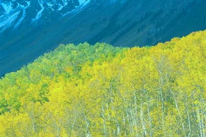 Escorts Ridgway, United States — Local Companions